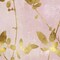 Nature Gold on Pink Blush III Poster Print by Danielle Carson # DLC116589